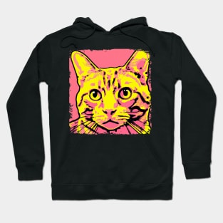 Domestic Shorthair Pop Art - Cat Lover Gift Hoodie